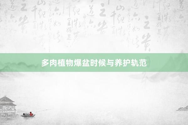 多肉植物爆盆时候与养护轨范
