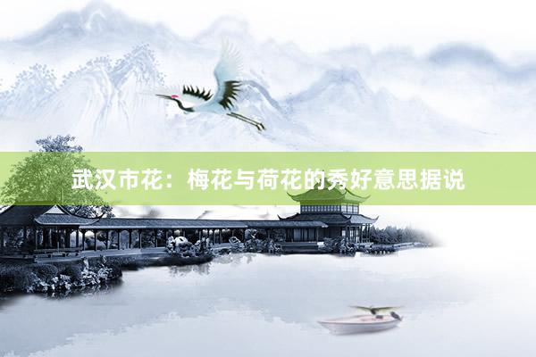 武汉市花：梅花与荷花的秀好意思据说