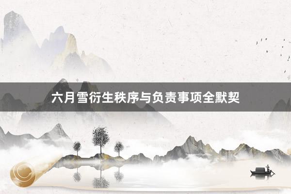 六月雪衍生秩序与负责事项全默契