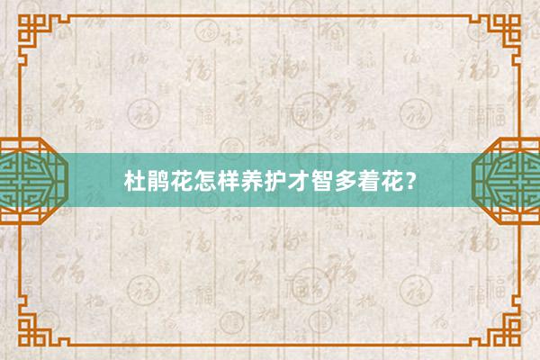 杜鹃花怎样养护才智多着花？