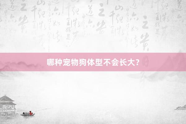 哪种宠物狗体型不会长大?